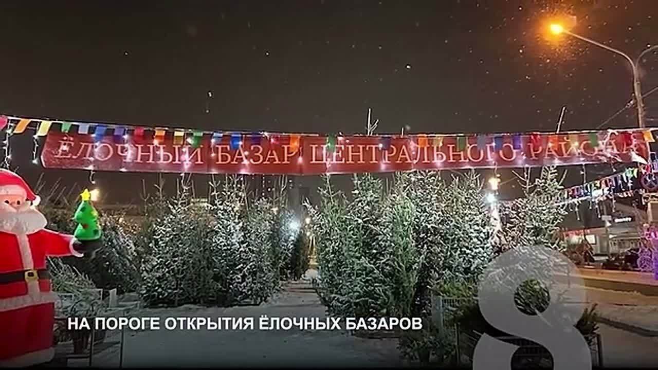 НОВОСТИ ИЗ ИНТЕРНЕТА. В Емельяновском районе стаи бродячих собак продолжают терроризировать людей