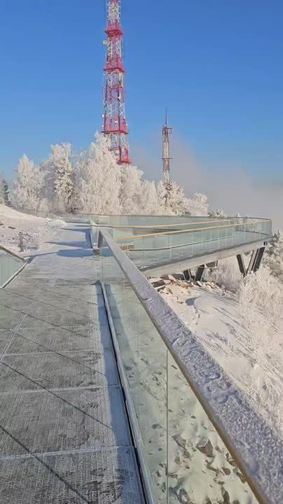 ���� � ����� ��� �������: ��� � ������������ �����