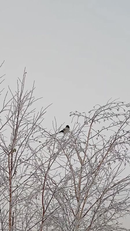 ������ �� 10 �������. ���