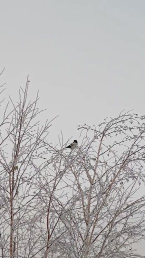 Погода на 10 декабря. ТВК
