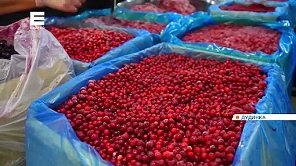 ����������, ��� � ������� ������������� 95-����� �������