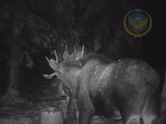 ���� �������� �������� �� ����� � ��������� ����