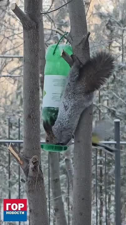 ������ ��������� ������! ��� �������� ������ ������ �������� �������� ������������� �������� ������� � � ��������� ������ �����, ������ ����������� �� ������