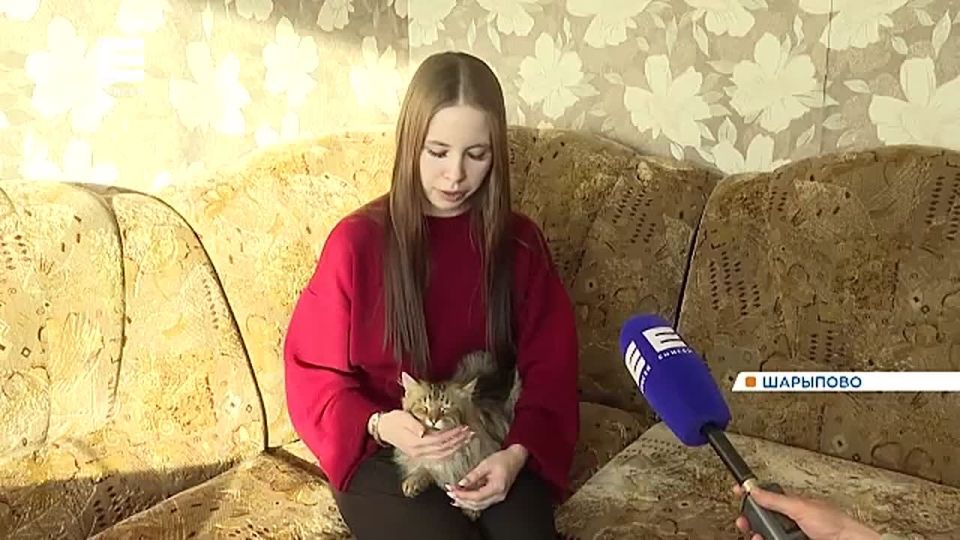 ����, �������� ������ ����������� �����������, ����� ����� ���