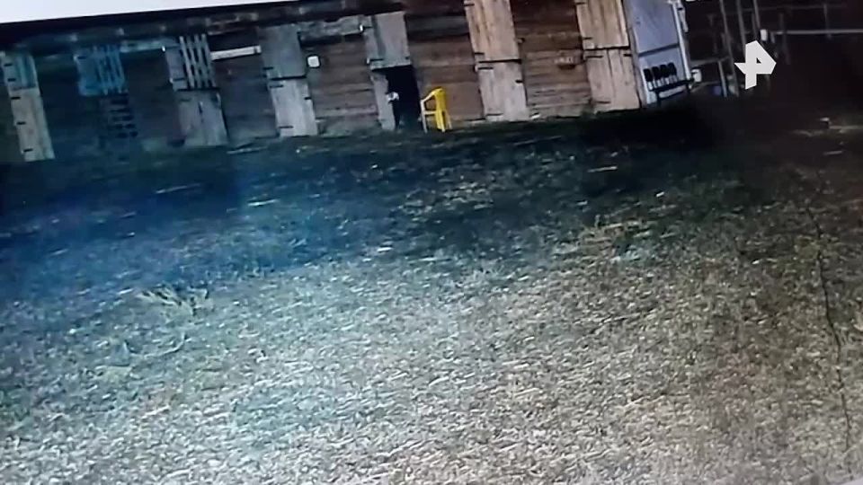 � �������� ����������� ������� ��������� �� ������� � ������� �������� �������