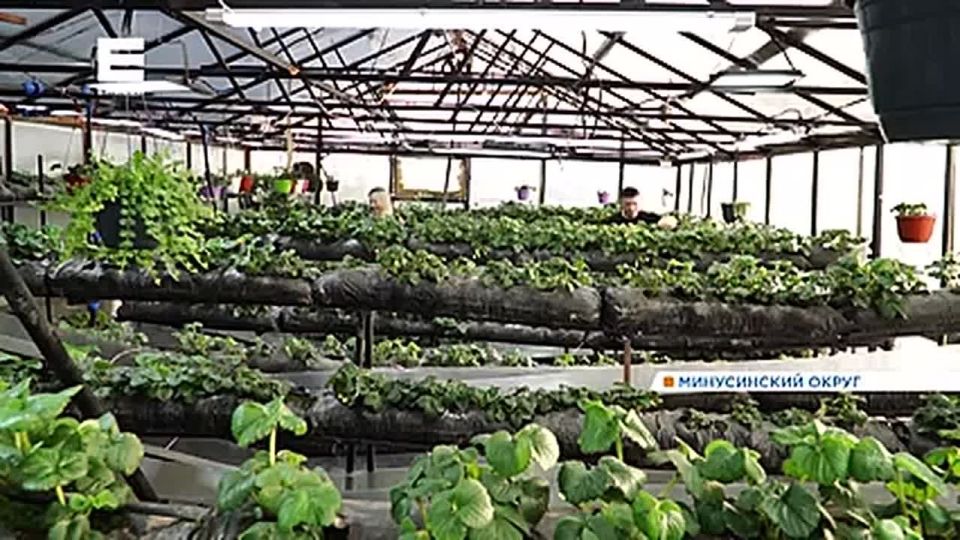 �� ��� ���� ����� ��������� �������� ����������� ������ ��������