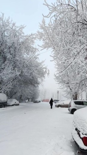 Погода на 11 декабря. ТВК