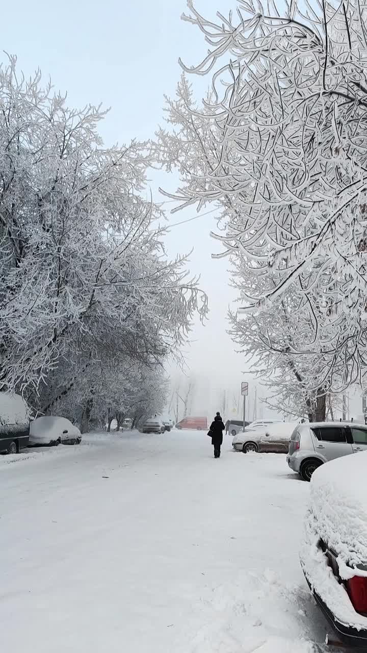 Погода на 11 декабря. ТВК