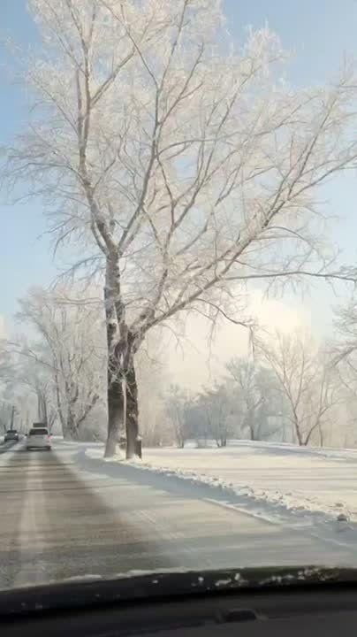 ����� ����� ��������. ��� ������ �� �. ������