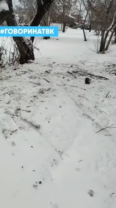 ��������� ������ �� ���������?