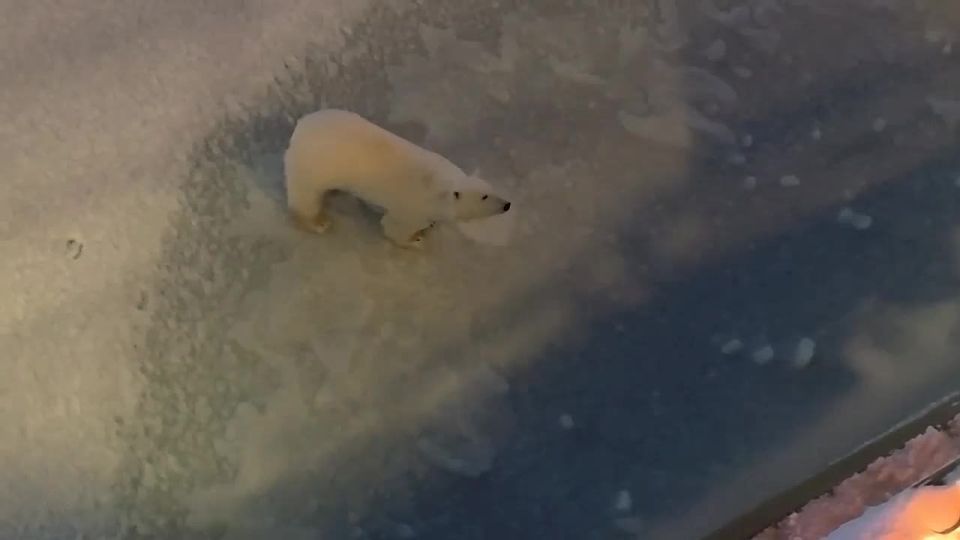 ����� ������� �� ������� ������ �� ��������� � ������� ��������