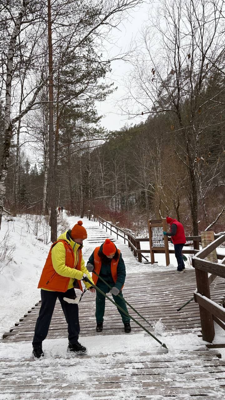 Красноярские волонтеры подвели итоги года за полезным делом Красноярские волонтеры подвели итоги года за полезным делом