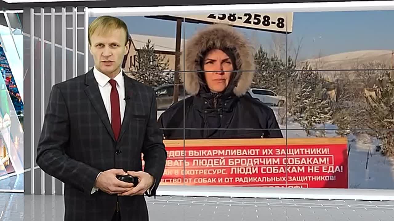 НОВОСТИ ИЗ ИНТЕРНЕТА. Член правления СНТ «Теремок», где минувшей осенью бродячие псы растерзали 10-летнего Витю Кривошеина, требует ввести безвозвратный отлов безнадзорных собак