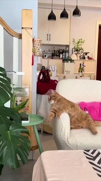 ������ ����!. ���� �� ������ ����������� � ������� ����, ��� ������� ��� �� ������: ������������� ���� � ������ �� ������, ������������ ����������, ��������� �� �������� �, �������, ����� ����� �� ����� ����������