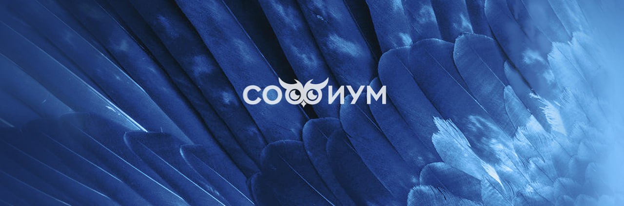 В Избирательной комиссии Красноярского края состоялся второй тур регионального этапа Всероссийской олимпиады школьников «Софиум»