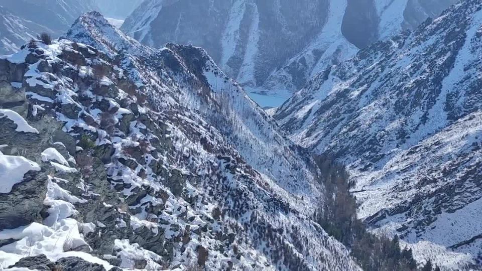 �������, 11 �������, ���������� ������������� ���� ���, ����������� � 1992 ����