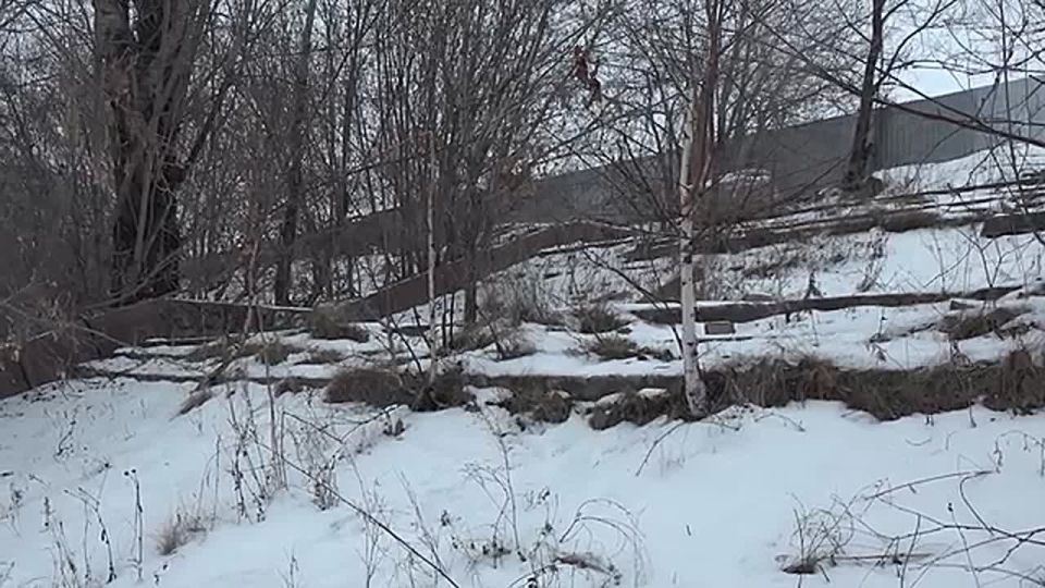 ����������� �������. ��������� ������, ������ ��������