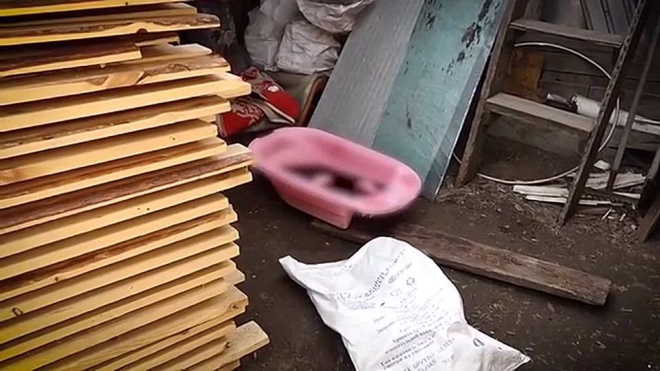 ��� ������-���������� �� ������ ������� �������� � ��������� �����