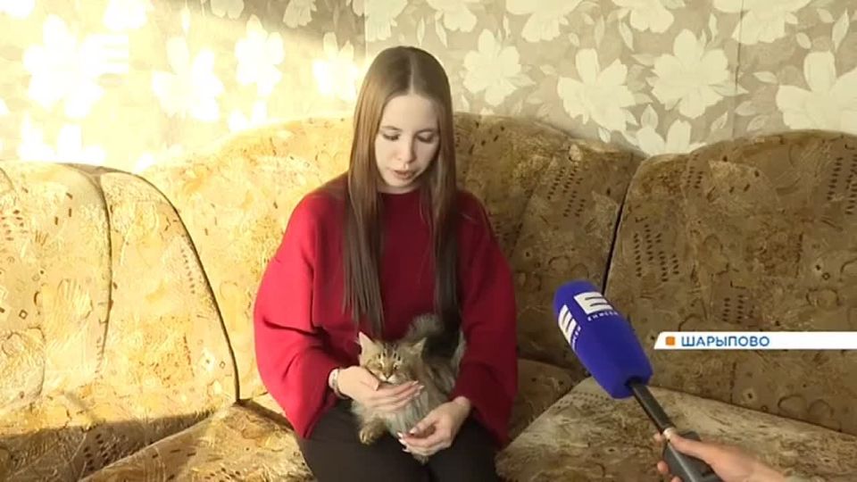 ���� ��������� ˸��� � ������ ������������ ���������, �������� �������� � �������� ���������� �������, ����� ������� ����� � ������� ����� � ������������!