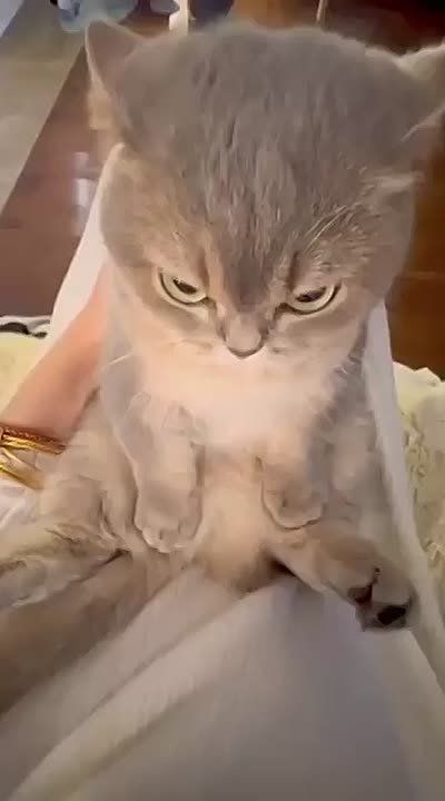 �����, � �� ����� ����?. �������� �� ��, ��� � ������ �����, �� ������������� �� ����� �������� �� ������ ���, ����� ����������, ������ ���: ������, ��� ��� ������� ��� ��� �� �����������;