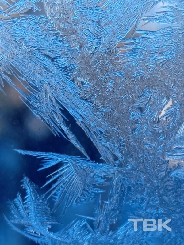 ������ ����, �� �� ����� �������� �� �����