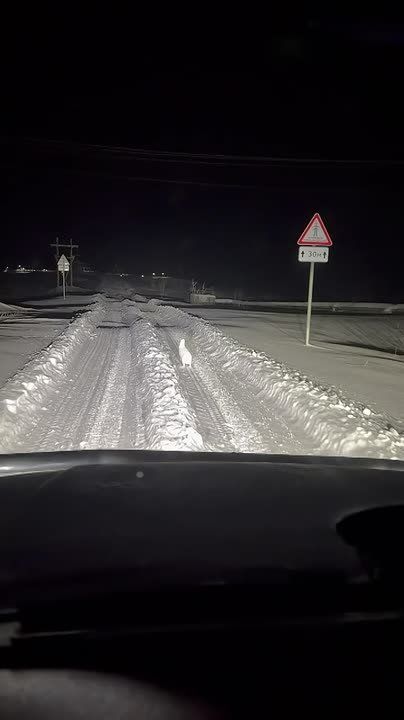 � ������� ��������� ������ ���������� ������ ���������� ����������: �� ����������� ������ �� �� ����� ��������� ����