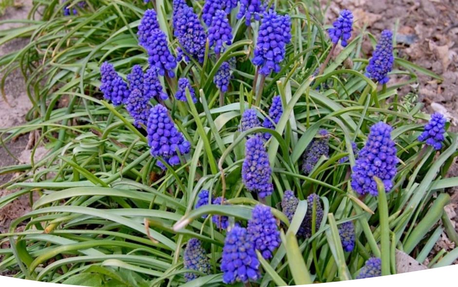 ������ ��������� ������� ����� � 4 �� 10 ���