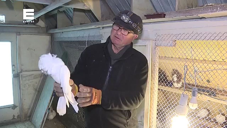 ������ ������������ ������ �������� ���������� �������