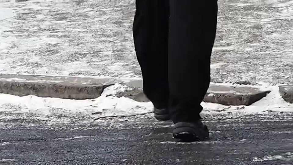 ������ �������� ����������: ˨� ������ �������