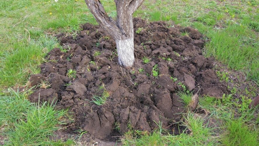 �������� ��������� ������������ ������: ������������� ��� ������ ������?