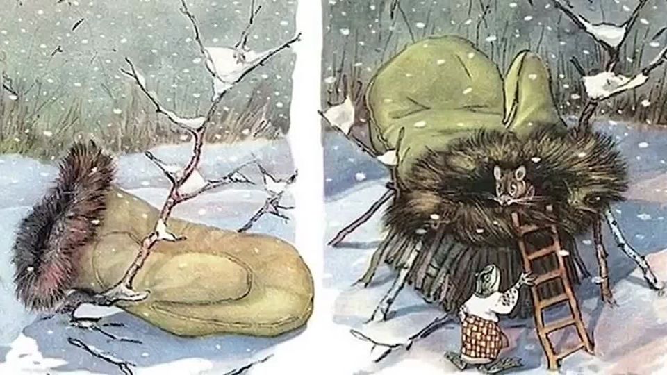 �����������: ���� ����������� �� ����� ����� ��������