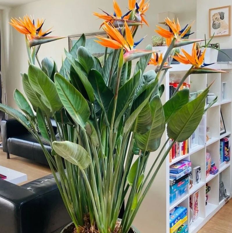 7 ��������� ��������, ������� ����� ��������� ���� ������������ � ������� ������ �������