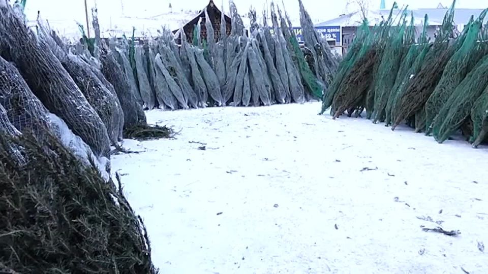 Ҩ���� ����������� ��������