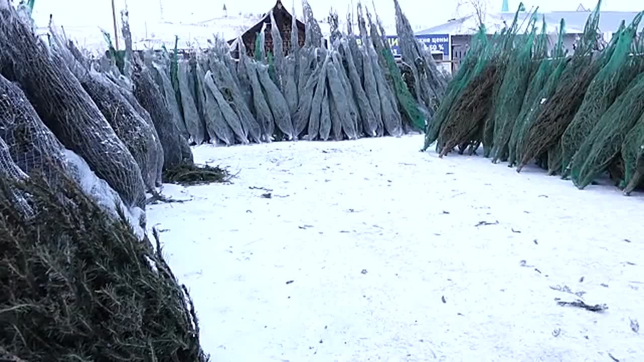 ТЁПЛЫЕ ДЕКАБРЬСКИЕ ВЫХОДНЫЕ