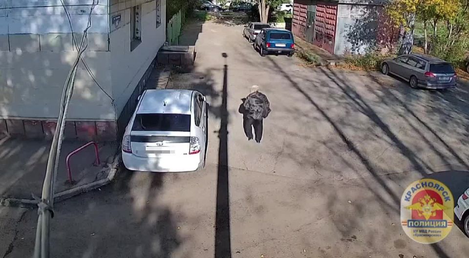 1234567 ����������� ������� ������: � ����������� ����������� ��������� �������, �������������� � ���������� ����������� ����������