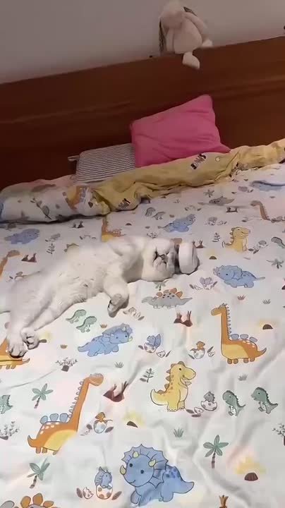 Планы на выходные. ТВК