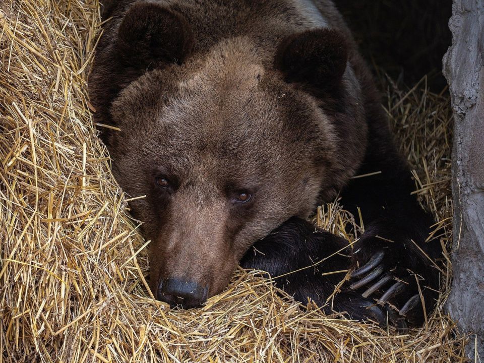 ������� ���������� ���� �������!