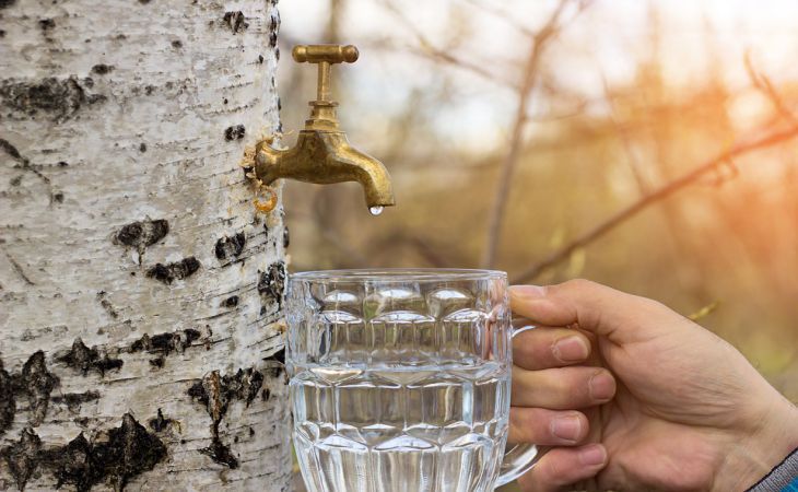 8 ���������, ������� ���� ������ � ������: � ������ ����� ��� ��������� ��������