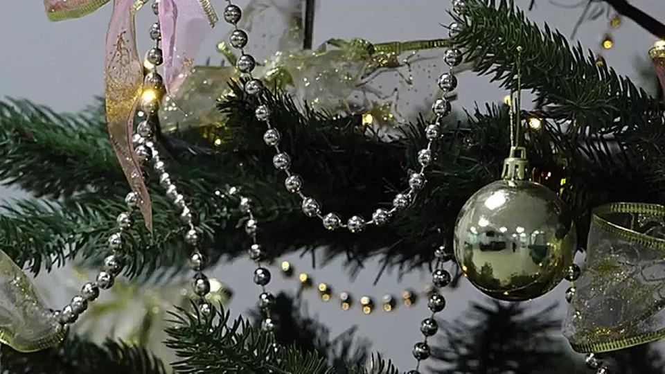 ���������� ����� �� �������� ���������