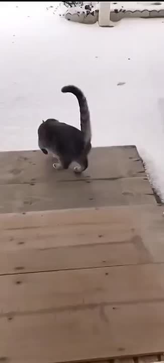 ������������ ���������� �� -3: ������ �� �������� � �����������