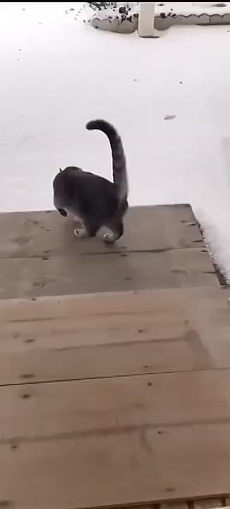 Долгожданное потепление до -3: погода на выходные в Красноярске