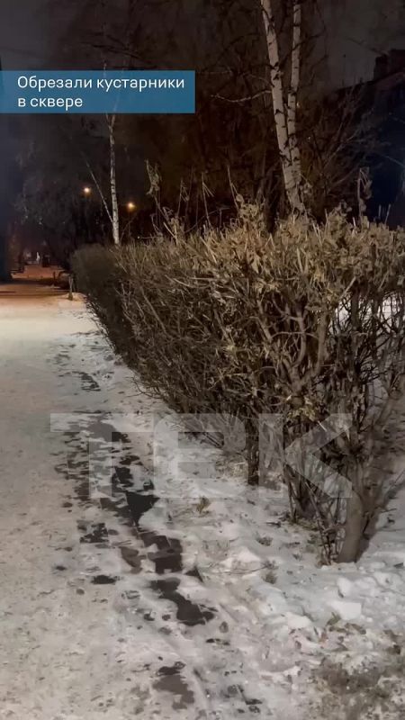 ���� ���� ���������� �� ������� ����������� � ������ ����������