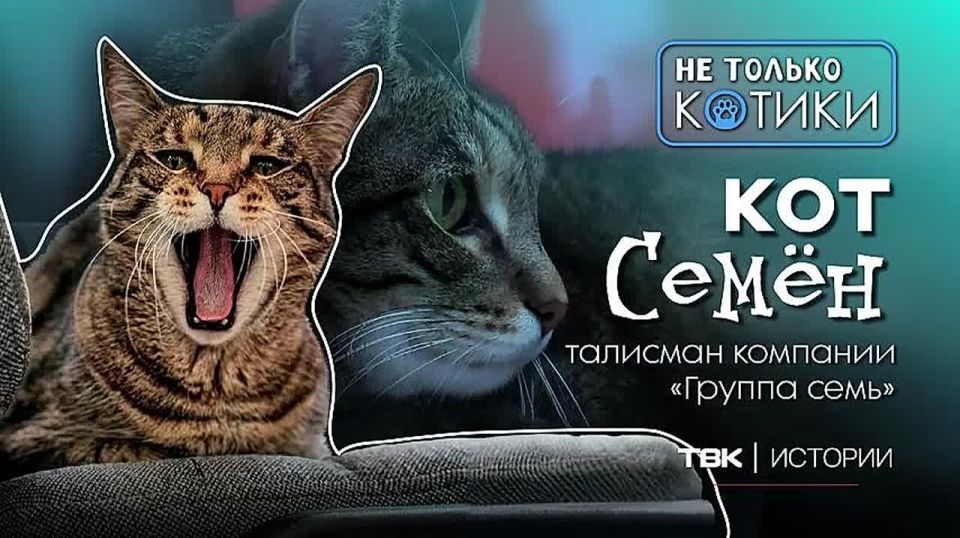 ��� ������ ������: ��� ����� �� ���������� ���������