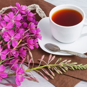 Ах вот ты какой, Иван-чай. Иван-чай — травяной напиток с богатым витаминно-минеральным составом