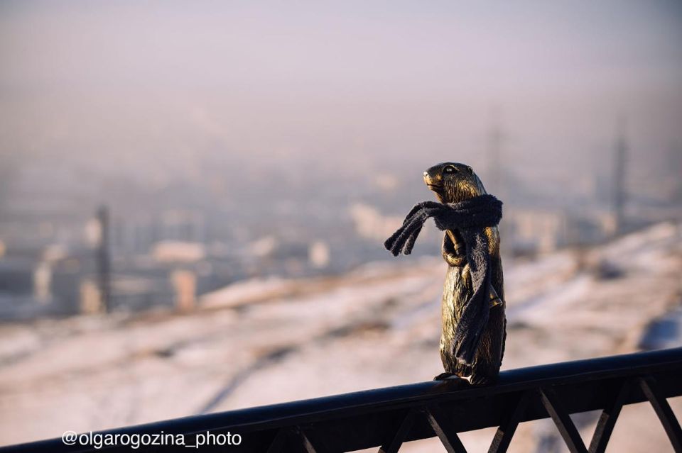 ������ ����� ����� �� ����� � ����� ������