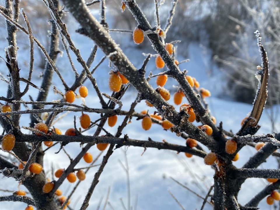 ����� ������ ���� ����������� �� ������� ������?