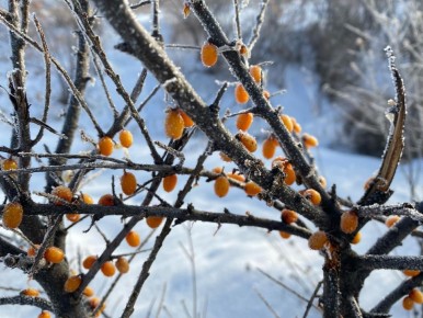 Какая погода ждет красноярцев на рабочей неделе?