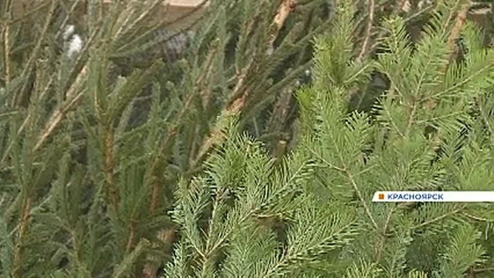 � ����������� ��������� ������ ������� ������