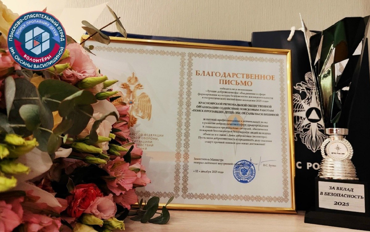 Красноярский поисковый отряд получил высшую награду МЧС