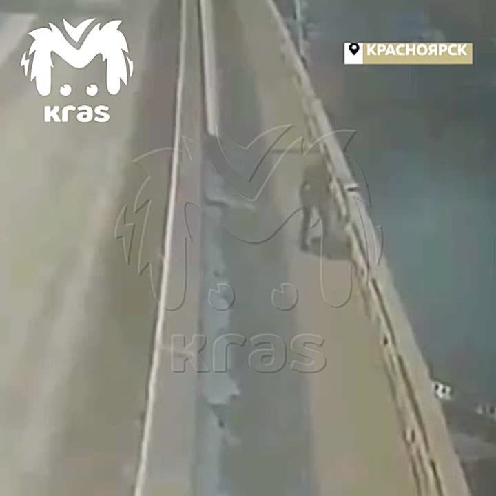 ��������� ������� ����� ���������, �������� � ������������ ����� � �����������